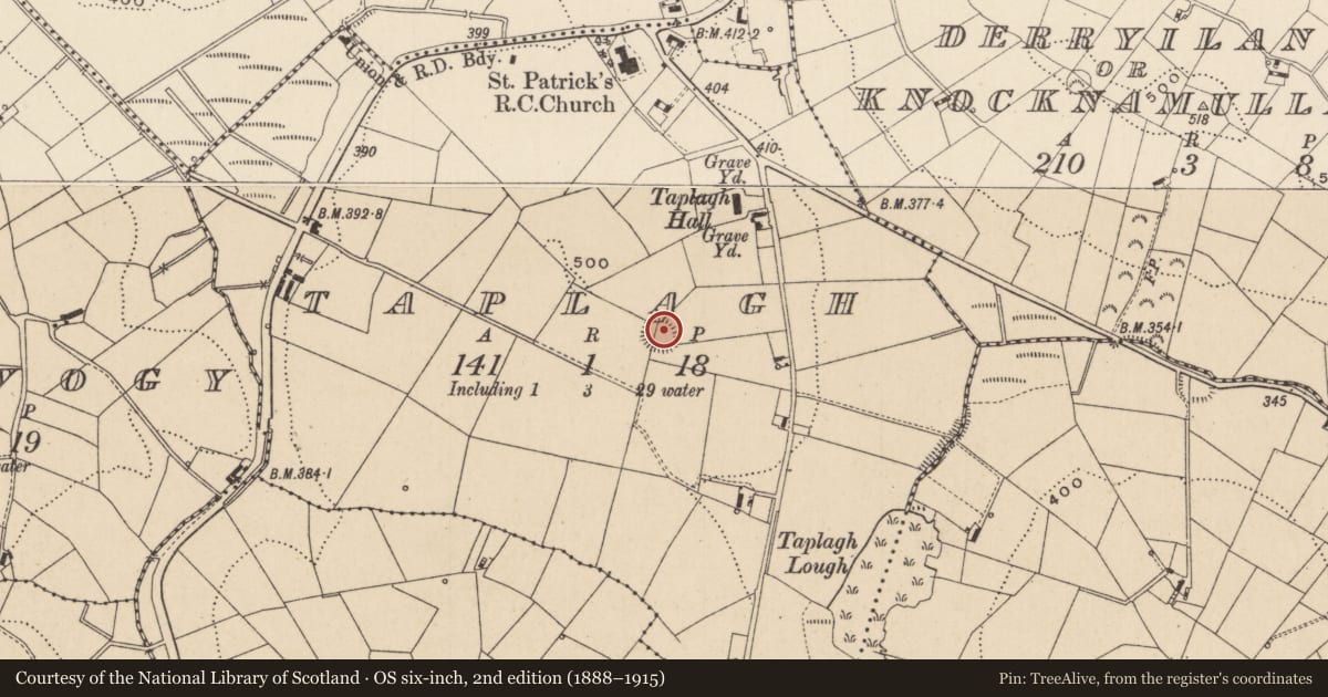 Ordnance Survey six-inch map, 2nd edition (1888–1915) covering the location of Ringfort - rath, Taplagh, County Monaghan, with a pin at the register's coordinates
