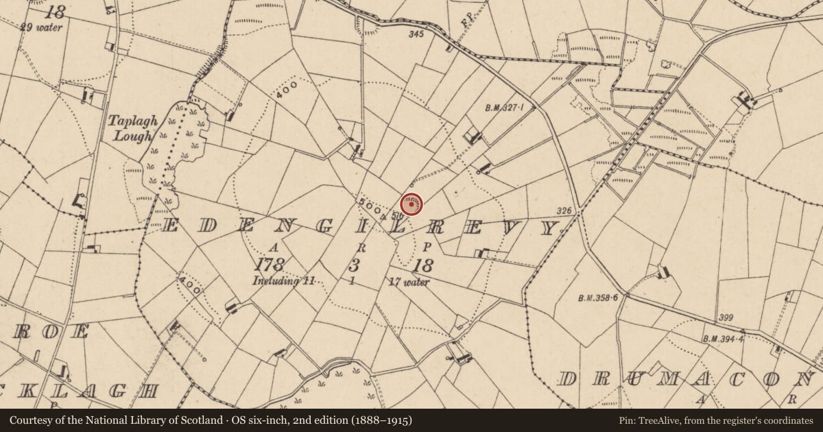 Ordnance Survey six-inch map, 2nd edition (1888–1915) covering the location of Ringfort - rath, Edengilrevy, County Monaghan, with a pin at the register's coordinates