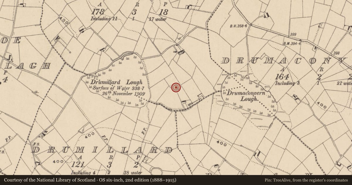 Ordnance Survey six-inch map, 2nd edition (1888–1915) covering the location of Ringfort - rath, Edengilrevy, County Monaghan, with a pin at the register's coordinates