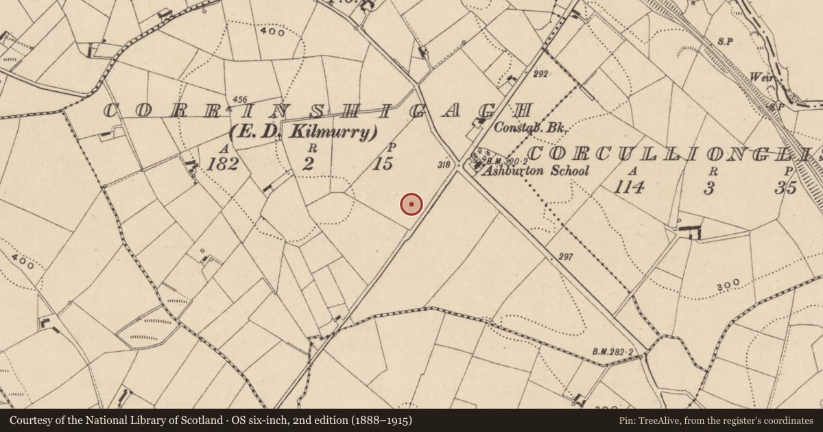 Ordnance Survey six-inch map, 2nd edition (1888–1915) covering the location of Ringfort - rath, Corrinshigagh (Farney By., Donaghmoyne Par.), County Monaghan, with a pin at the register's coordinates