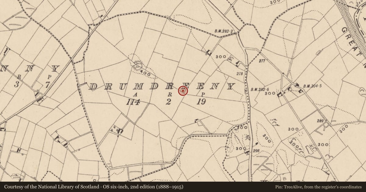 Ordnance Survey six-inch map, 2nd edition (1888–1915) covering the location of Ringfort - rath, Drumdreeny, County Monaghan, with a pin at the register's coordinates