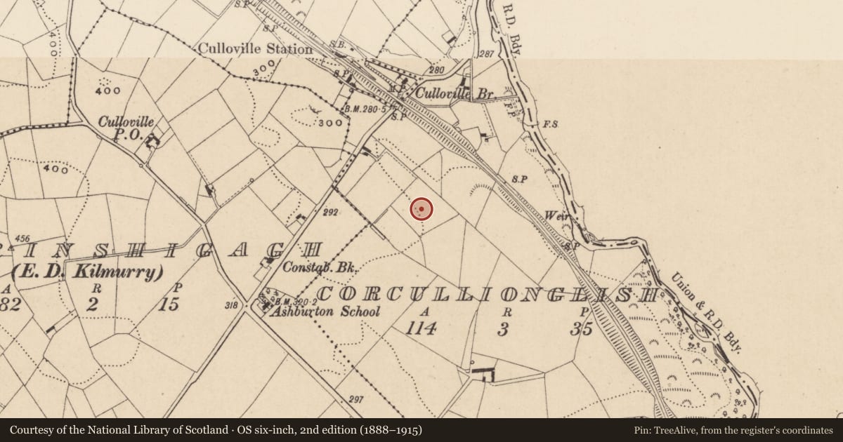 Ordnance Survey six-inch map, 2nd edition (1888–1915) covering the location of Ringfort - rath, Corcullionglish, County Monaghan, with a pin at the register's coordinates