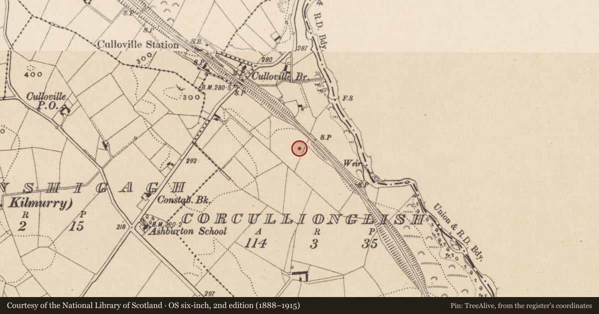 Ordnance Survey six-inch map, 2nd edition (1888–1915) covering the location of Ringfort - rath, Corcullionglish, County Monaghan, with a pin at the register's coordinates