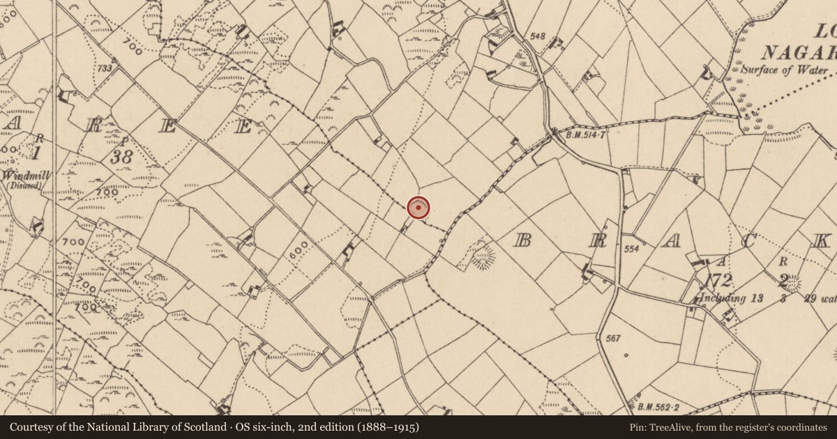 Ordnance Survey six-inch map, 2nd edition (1888–1915) covering the location of Ringfort - rath, Dunaree Latin, County Monaghan, with a pin at the register's coordinates