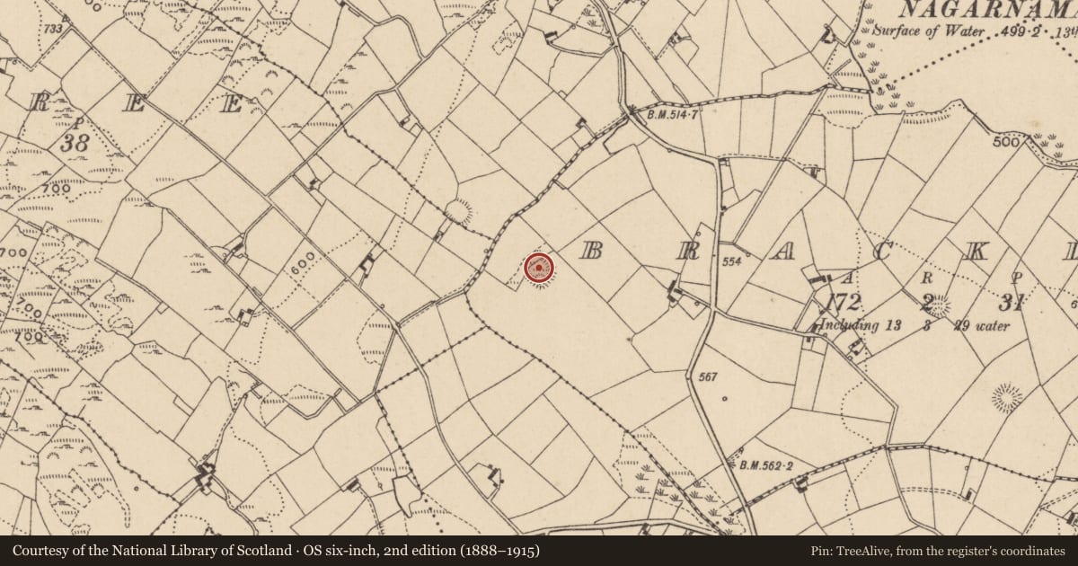 Ordnance Survey six-inch map, 2nd edition (1888–1915) covering the location of Ringfort - rath, Brackly, County Monaghan, with a pin at the register's coordinates