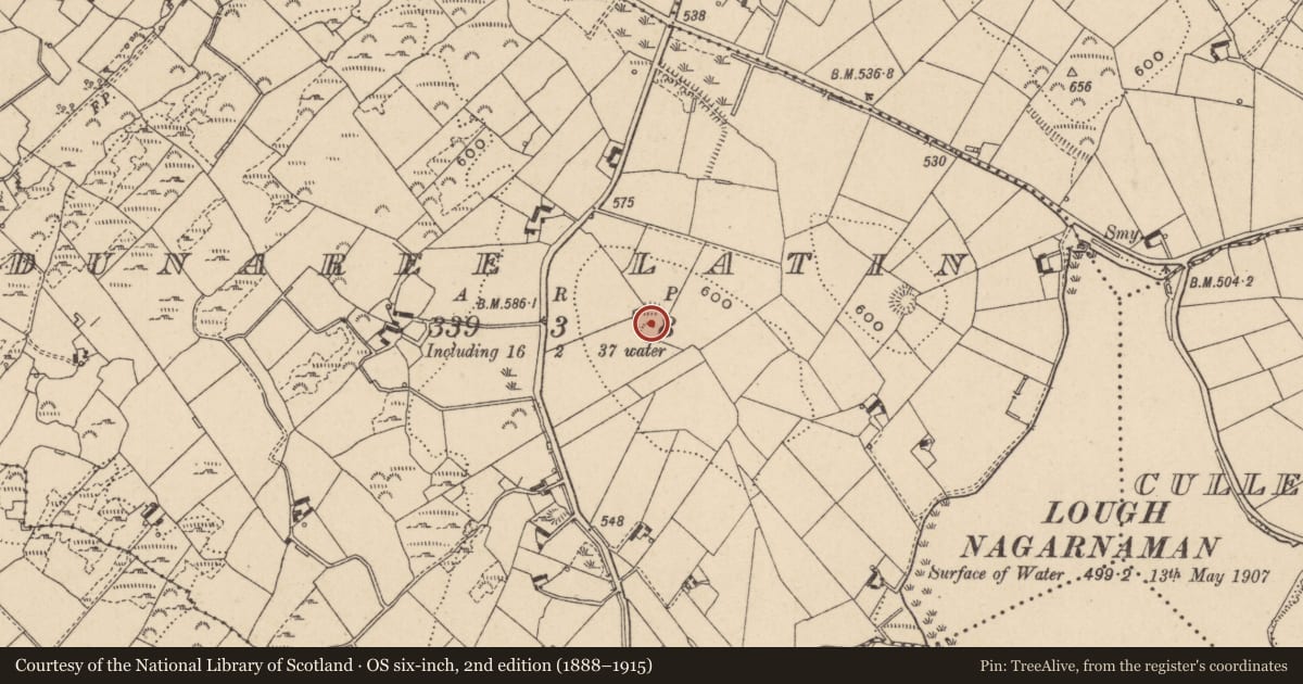 Ordnance Survey six-inch map, 2nd edition (1888–1915) covering the location of Hut site, Dunaree Latin, County Monaghan, with a pin at the register's coordinates