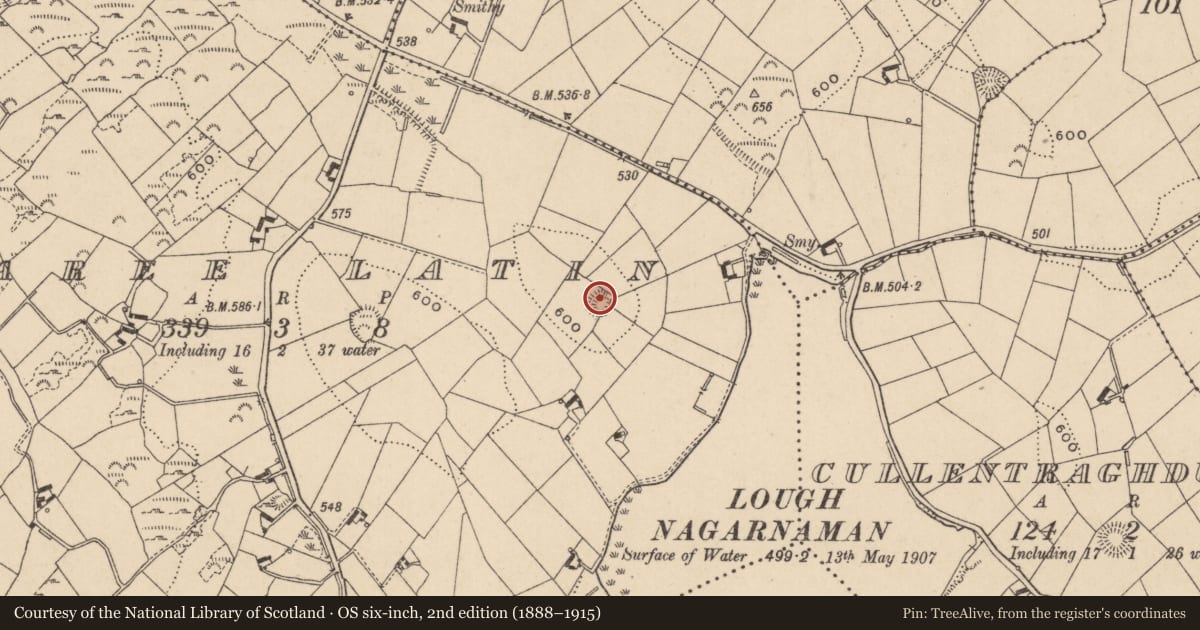 Ordnance Survey six-inch map, 2nd edition (1888–1915) covering the location of Ringfort - rath, Dunaree Latin, County Monaghan, with a pin at the register's coordinates