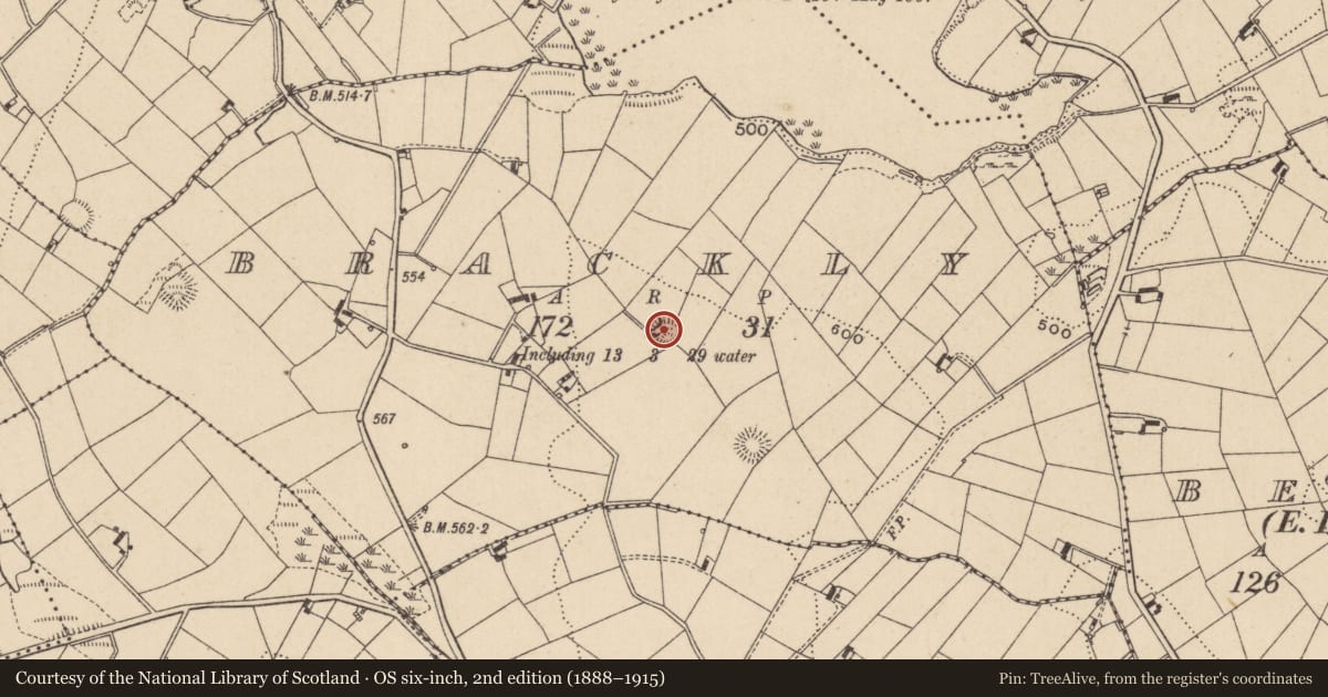 Ordnance Survey six-inch map, 2nd edition (1888–1915) covering the location of Ringfort - rath, Brackly, County Monaghan, with a pin at the register's coordinates