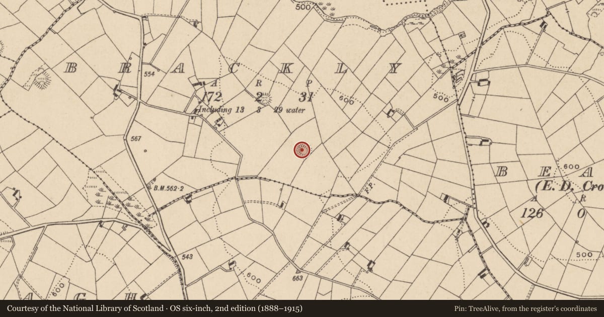 Ordnance Survey six-inch map, 2nd edition (1888–1915) covering the location of Ringfort - rath, Brackly, County Monaghan, with a pin at the register's coordinates