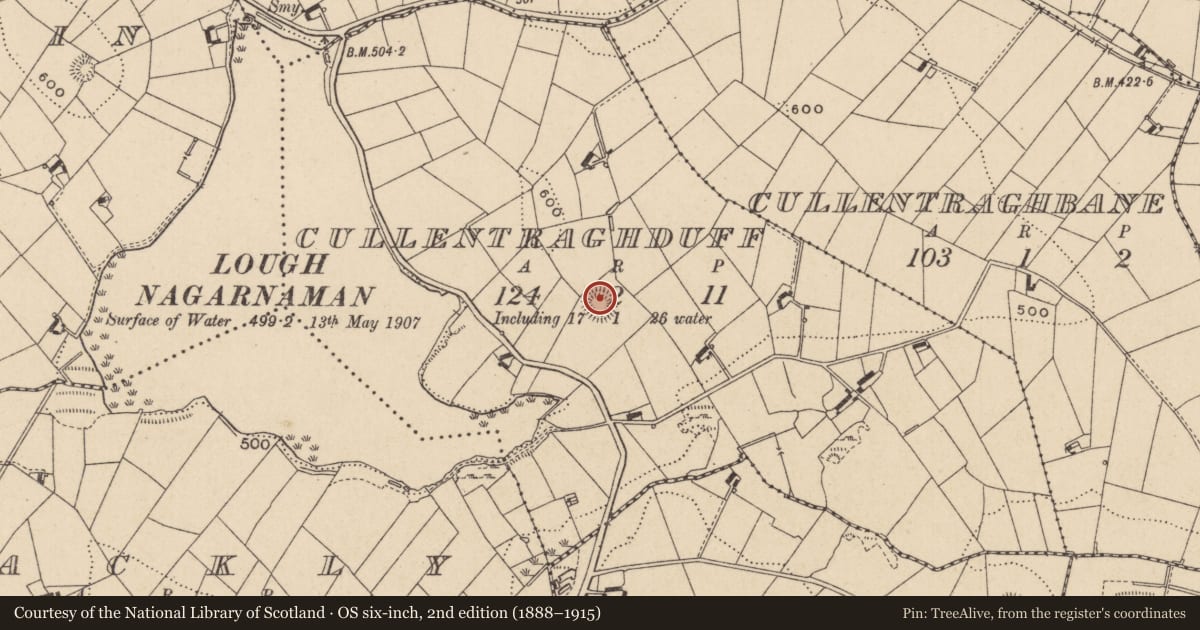 Ordnance Survey six-inch map, 2nd edition (1888–1915) covering the location of Ringfort - rath, Cullentraghduff, County Monaghan, with a pin at the register's coordinates