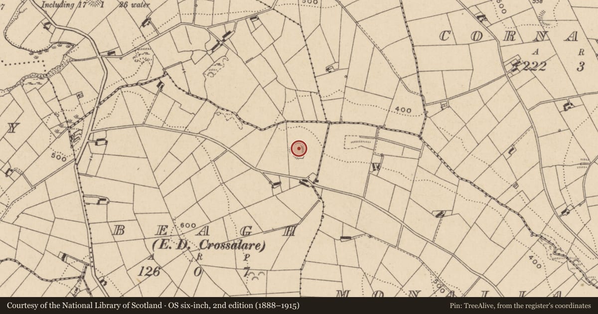 Ordnance Survey six-inch map, 2nd edition (1888–1915) covering the location of Ringfort - rath, Beagh (Farney By., Donaghmoyne Par.), County Monaghan, with a pin at the register's coordinates