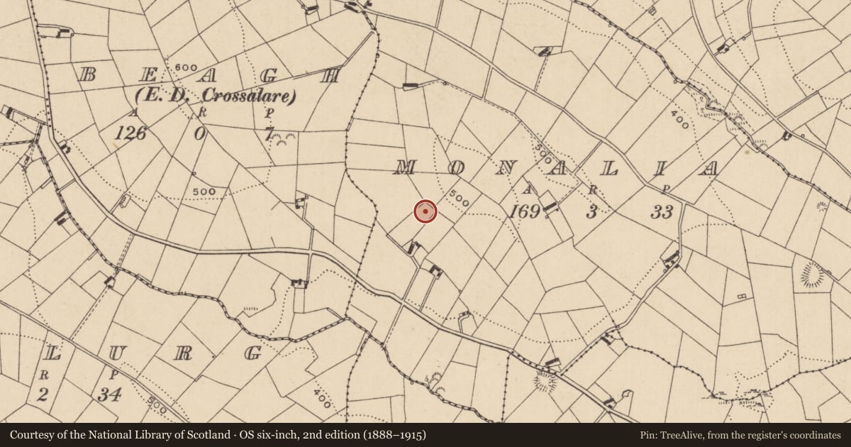 Ordnance Survey six-inch map, 2nd edition (1888–1915) covering the location of Ringfort - rath, Monalia, County Monaghan, with a pin at the register's coordinates