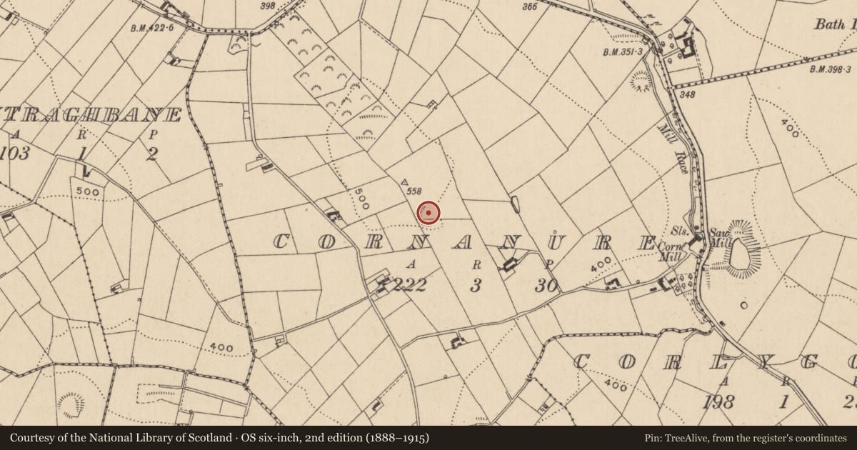 Ordnance Survey six-inch map, 2nd edition (1888–1915) covering the location of Ringfort - rath, Cornanure, County Monaghan, with a pin at the register's coordinates