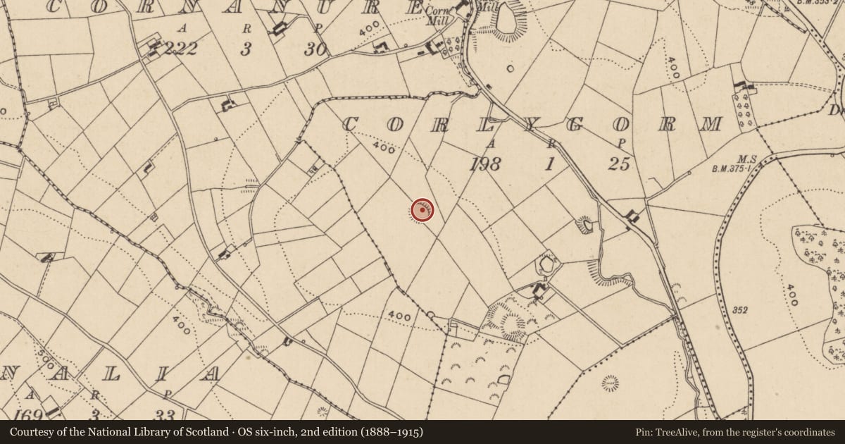 Ordnance Survey six-inch map, 2nd edition (1888–1915) covering the location of Ringfort - rath, Corlygorm, County Monaghan, with a pin at the register's coordinates