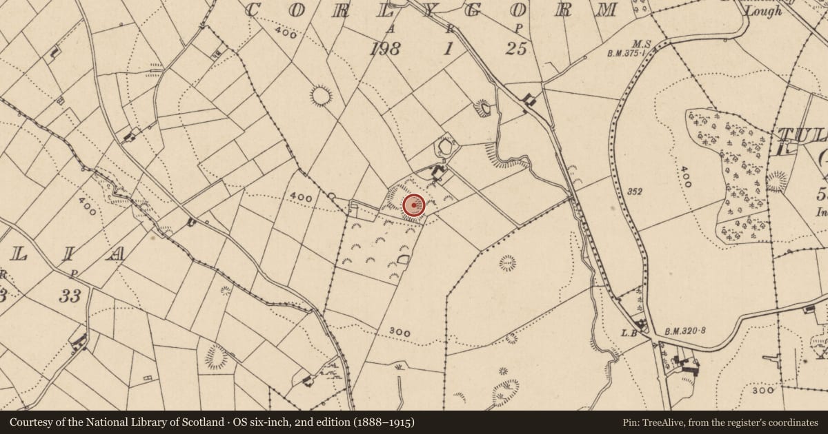 Ordnance Survey six-inch map, 2nd edition (1888–1915) covering the location of Ringfort - rath, Corlygorm, County Monaghan, with a pin at the register's coordinates