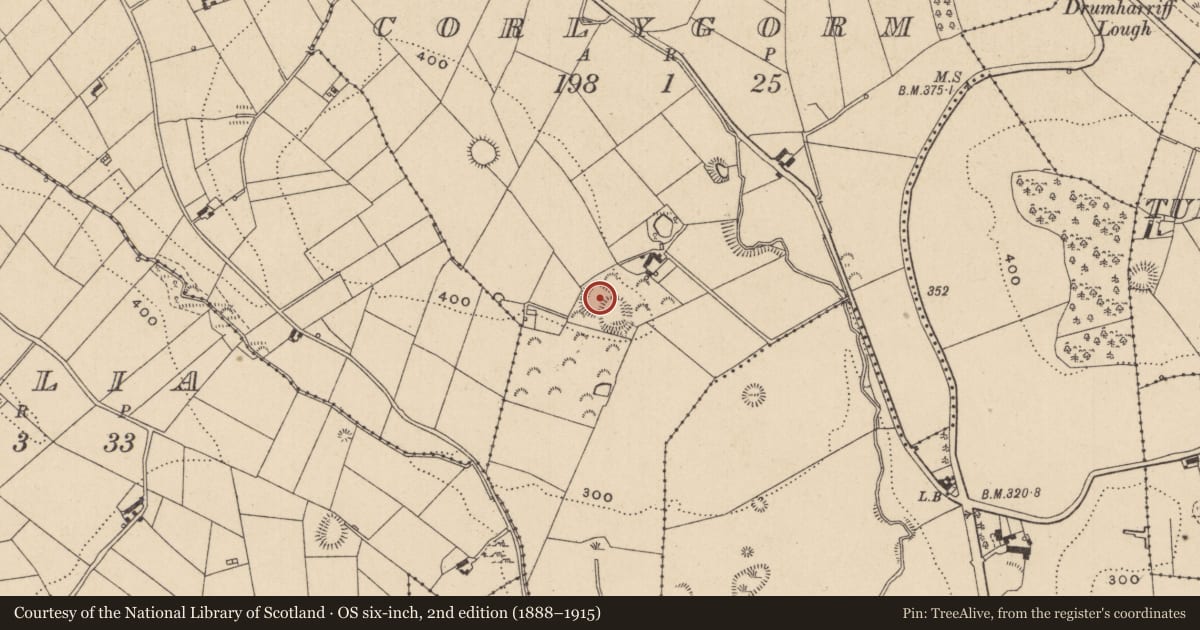 Ordnance Survey six-inch map, 2nd edition (1888–1915) covering the location of Enclosure, Corlygorm, County Monaghan, with a pin at the register's coordinates