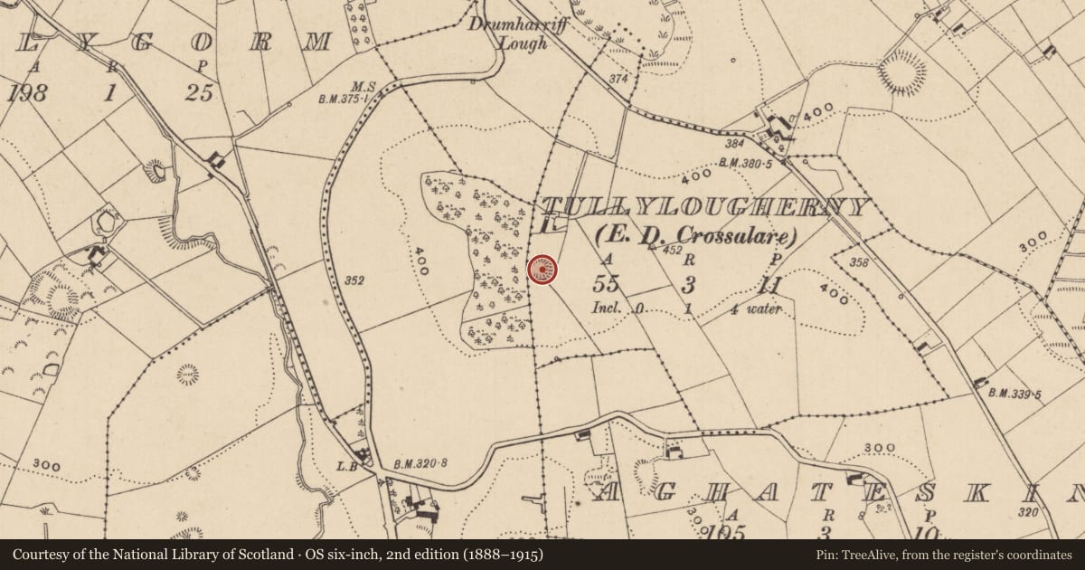 Ordnance Survey six-inch map, 2nd edition (1888–1915) covering the location of Ringfort - rath, Tullylougherny (Farney By., Donaghmoyne Par.), County Monaghan, with a pin at the register's coordinates