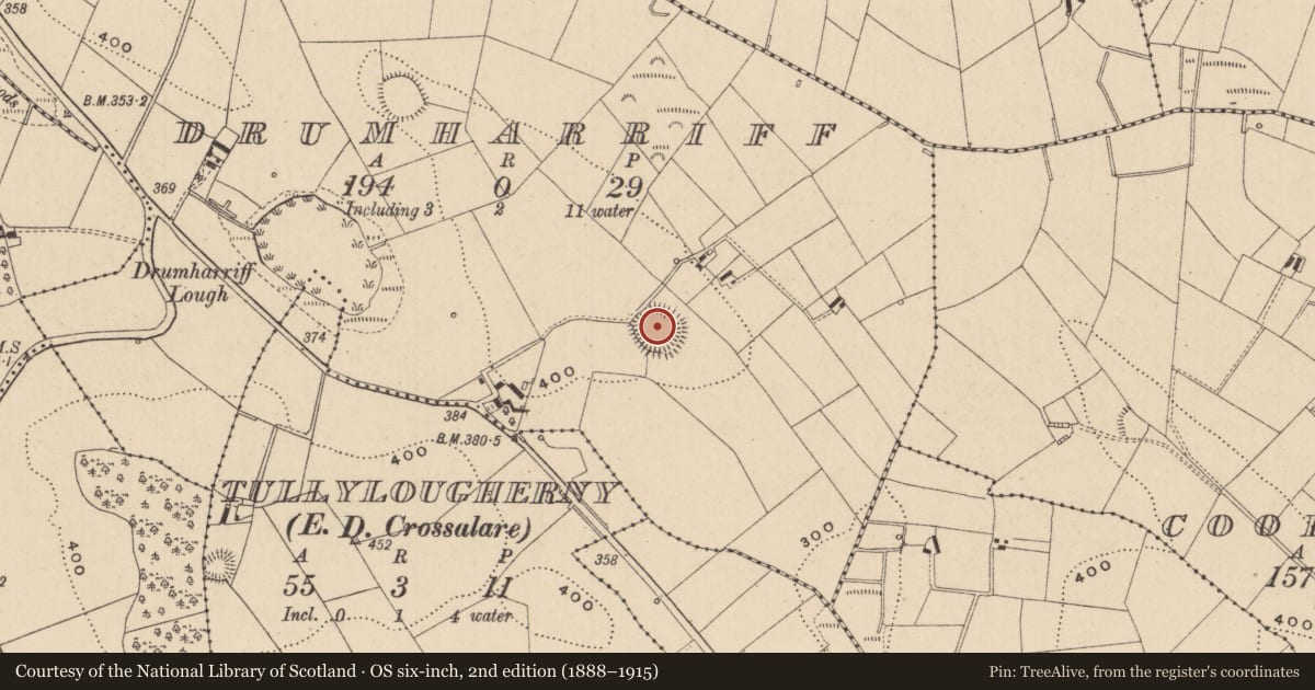 Ordnance Survey six-inch map, 2nd edition (1888–1915) covering the location of Ringfort - rath, Drumharriff, County Monaghan, with a pin at the register's coordinates