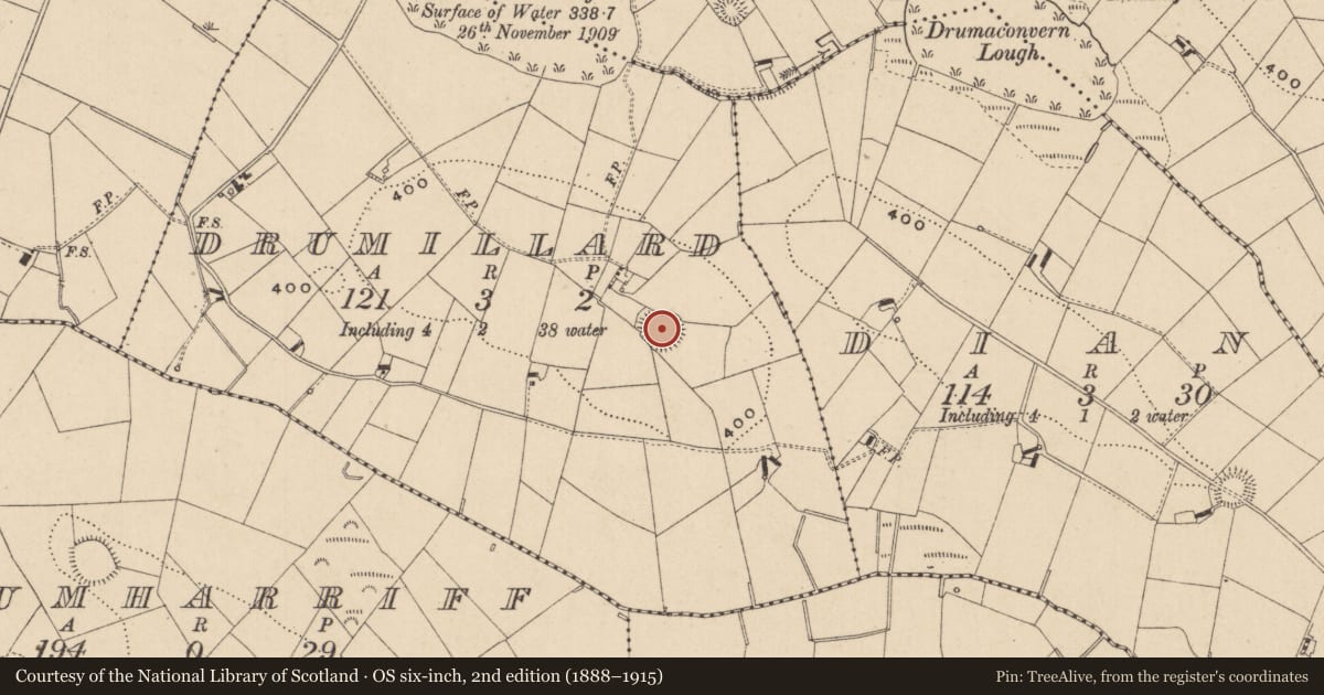 Ordnance Survey six-inch map, 2nd edition (1888–1915) covering the location of Ringfort - rath, Drumillard, County Monaghan, with a pin at the register's coordinates
