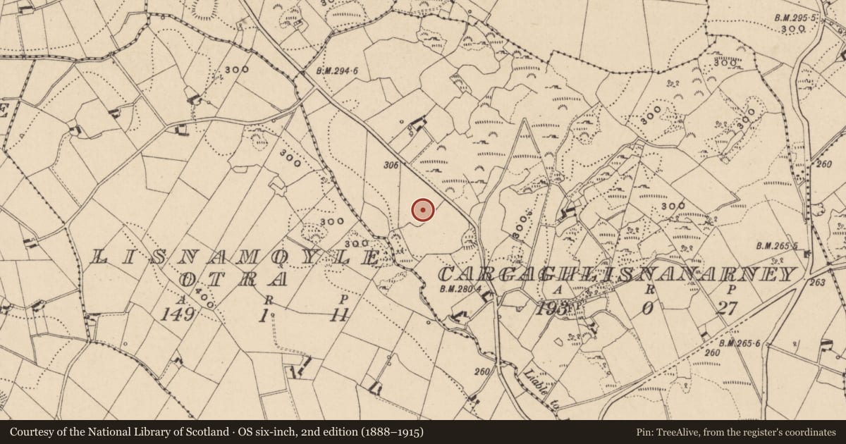Ordnance Survey six-inch map, 2nd edition (1888–1915) covering the location of Ringfort - rath, Cargaghlisnanarney, County Monaghan, with a pin at the register's coordinates