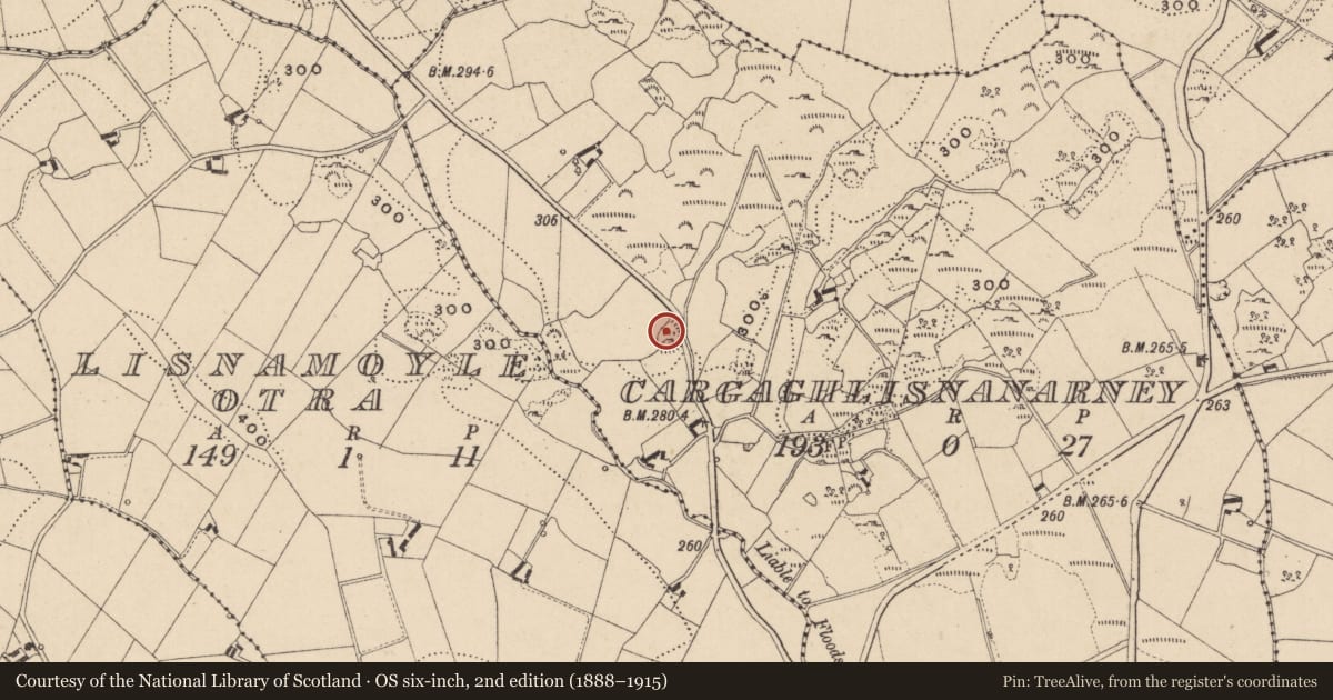 Ordnance Survey six-inch map, 2nd edition (1888–1915) covering the location of Ringfort - rath, Cargaghlisnanarney, County Monaghan, with a pin at the register's coordinates