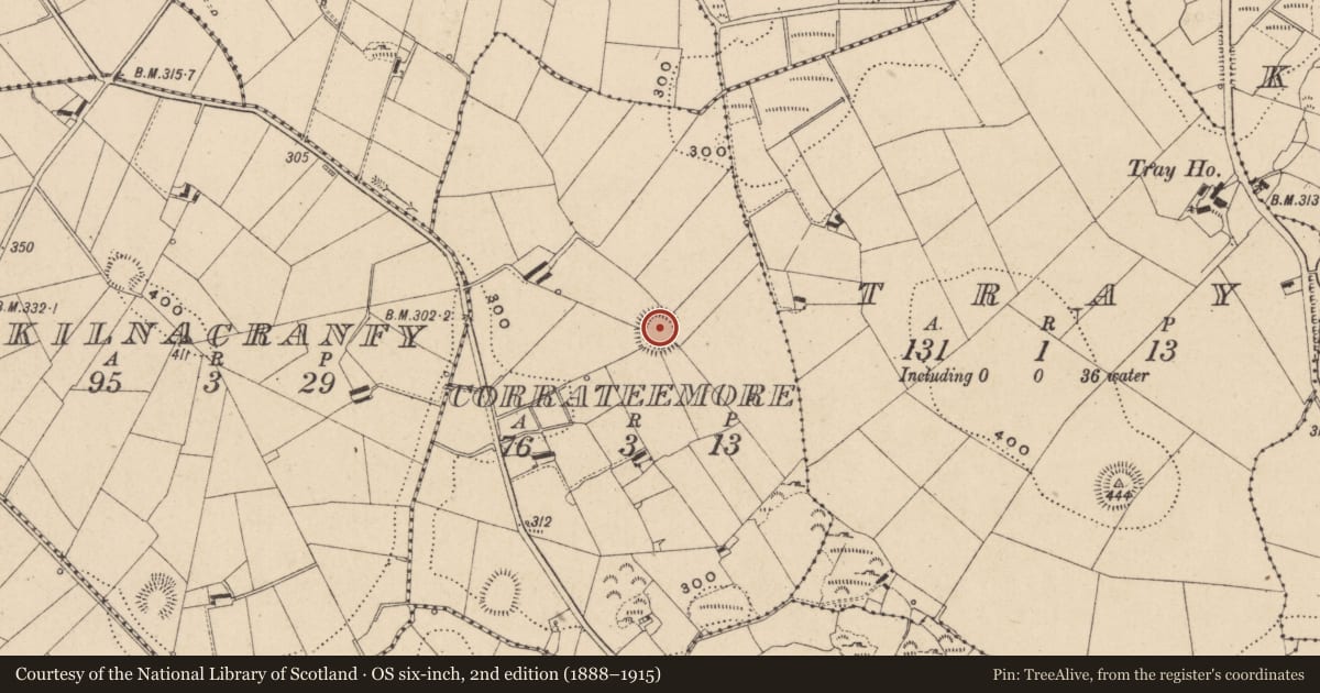 Ordnance Survey six-inch map, 2nd edition (1888–1915) covering the location of Ringfort - rath, Corrateemore, County Monaghan, with a pin at the register's coordinates