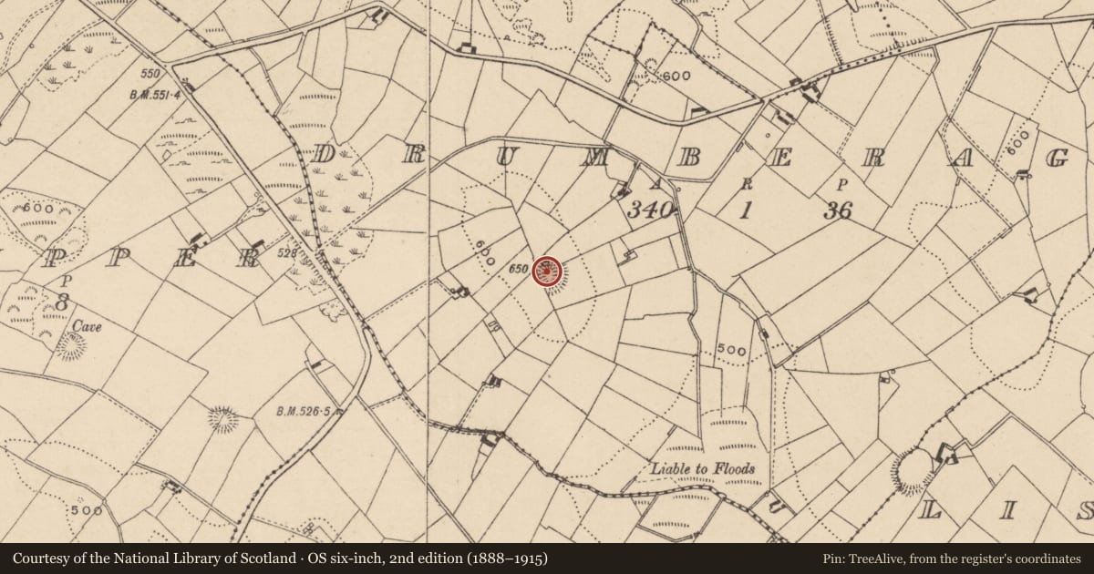 Ordnance Survey six-inch map, 2nd edition (1888–1915) covering the location of Ringfort - rath, Drumberagh, County Monaghan, with a pin at the register's coordinates