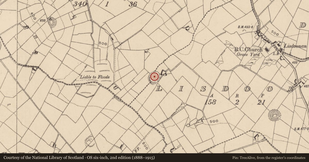 Ordnance Survey six-inch map, 2nd edition (1888–1915) covering the location of Ringfort - rath, Lisdoonan, Drumberagh, County Monaghan, with a pin at the register's coordinates
