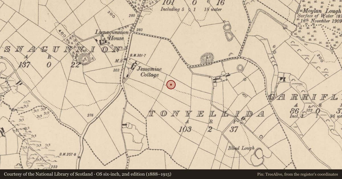 Ordnance Survey six-inch map, 2nd edition (1888–1915) covering the location of Ringfort - rath, Tonyellida, County Monaghan, with a pin at the register's coordinates