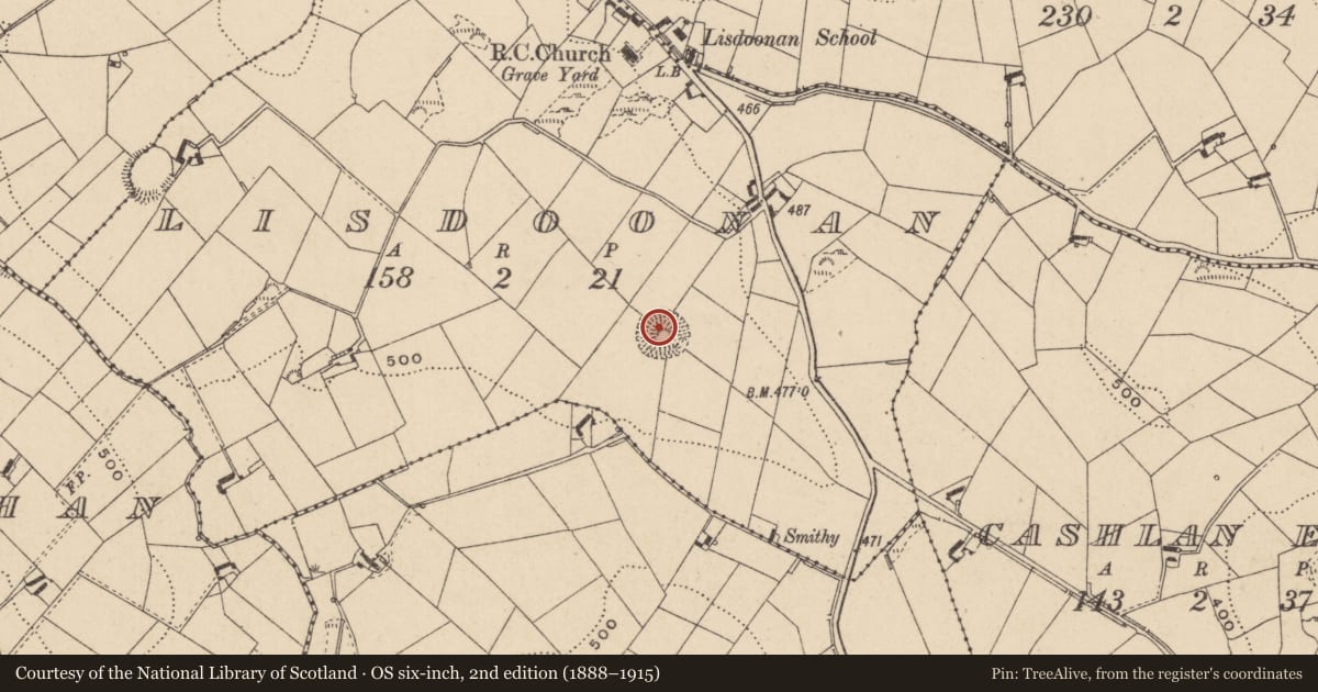 Ordnance Survey six-inch map, 2nd edition (1888–1915) covering the location of Ringfort - rath, Lisdoonan, County Monaghan, with a pin at the register's coordinates