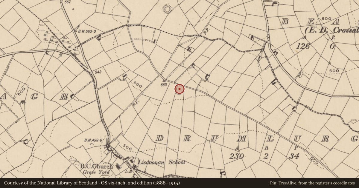 Ordnance Survey six-inch map, 2nd edition (1888–1915) covering the location of Ringfort - rath, Drumlurg, County Monaghan, with a pin at the register's coordinates