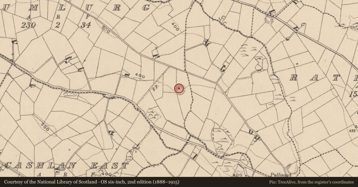 Ordnance Survey six-inch map, 2nd edition (1888–1915) covering the location of Ringfort - rath, Drumlurg, County Monaghan, with a pin at the register's coordinates