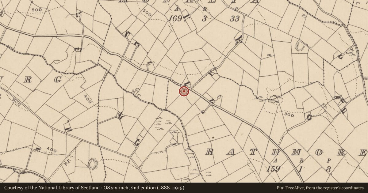 Ordnance Survey six-inch map, 2nd edition (1888–1915) covering the location of Ringfort - rath, Rathmore, County Monaghan, with a pin at the register's coordinates