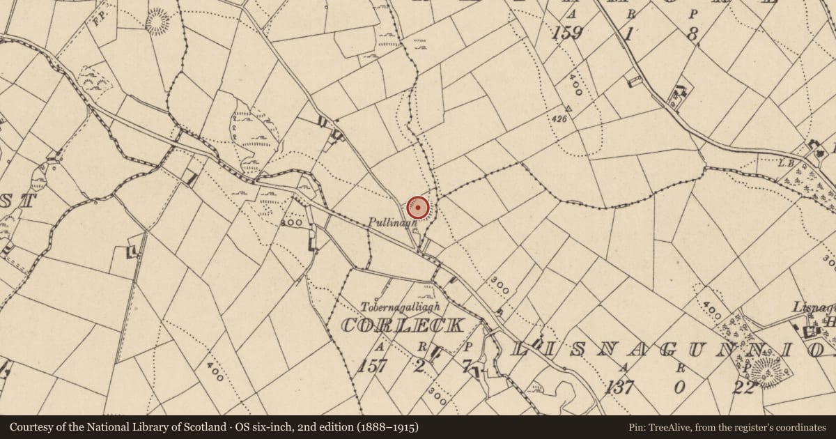 Ordnance Survey six-inch map, 2nd edition (1888–1915) covering the location of Ringfort - rath, Corleck, County Monaghan, with a pin at the register's coordinates