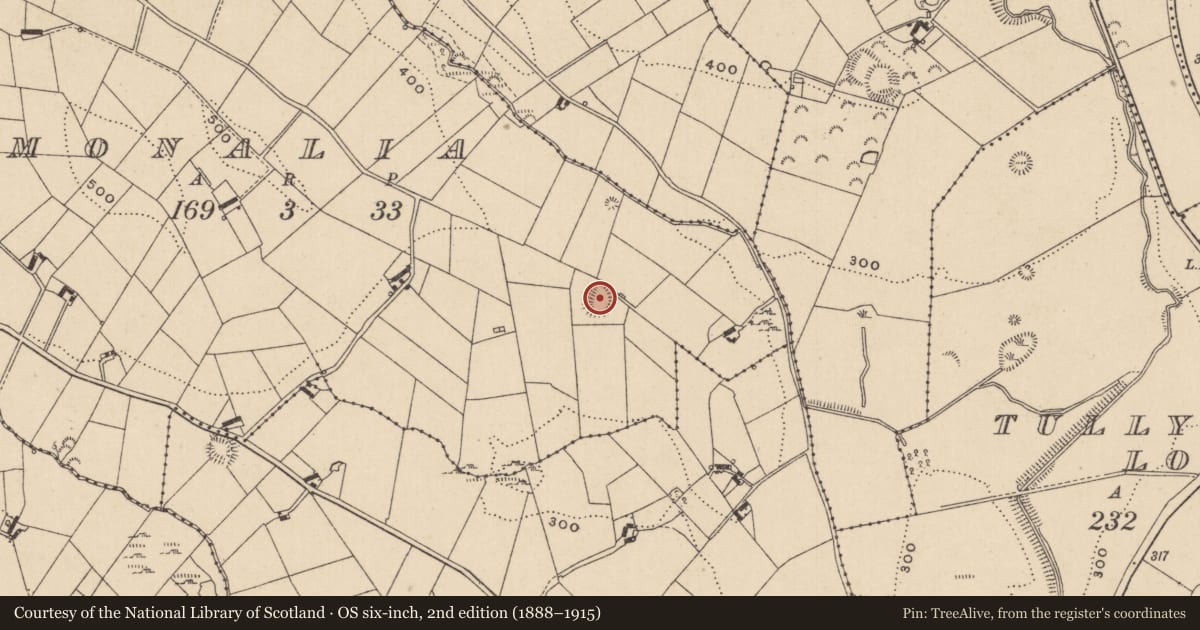 Ordnance Survey six-inch map, 2nd edition (1888–1915) covering the location of Ringfort - rath, Monalia, County Monaghan, with a pin at the register's coordinates