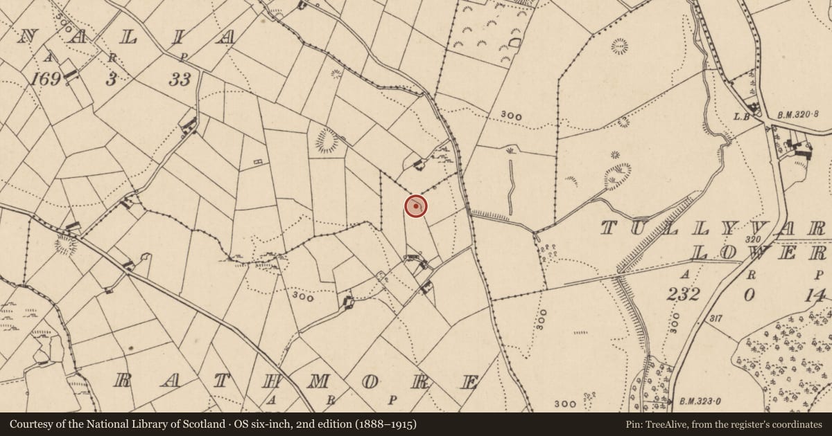 Ordnance Survey six-inch map, 2nd edition (1888–1915) covering the location of Ringfort - rath, Rathmore, County Monaghan, with a pin at the register's coordinates