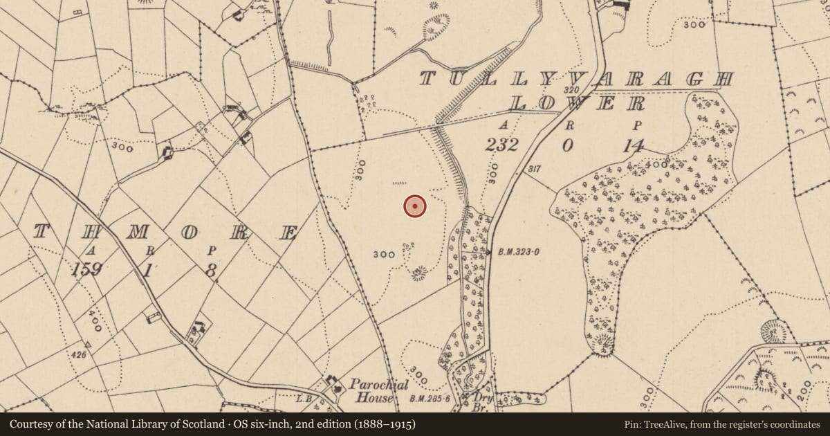 Ordnance Survey six-inch map, 2nd edition (1888–1915) covering the location of Ringfort - rath, Tullyvaragh Lower, County Monaghan, with a pin at the register's coordinates