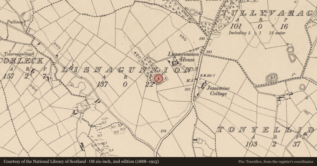 Ordnance Survey six-inch map, 2nd edition (1888–1915) covering the location of Ringfort - rath, Lisnagunnion, County Monaghan, with a pin at the register's coordinates