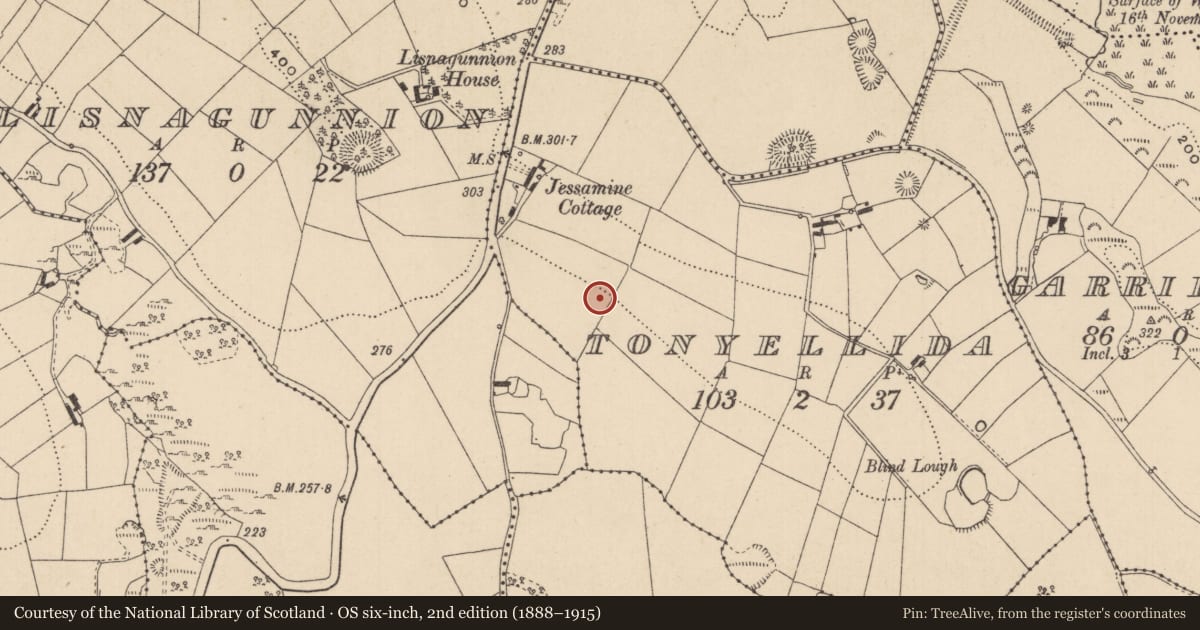 Ordnance Survey six-inch map, 2nd edition (1888–1915) covering the location of Ringfort - rath, Tonyellida, County Monaghan, with a pin at the register's coordinates
