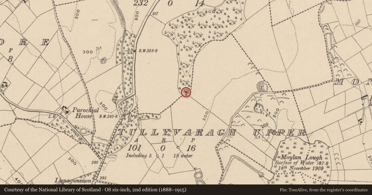Ordnance Survey six-inch map, 2nd edition (1888–1915) covering the location of Ringfort - rath, Tullyvaragh Lower, County Monaghan, with a pin at the register's coordinates