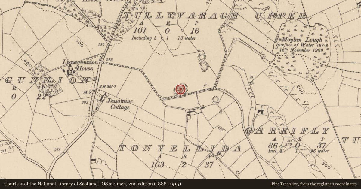 Ordnance Survey six-inch map, 2nd edition (1888–1915) covering the location of Ringfort - rath, Tullyvaragh Upper, County Monaghan, with a pin at the register's coordinates