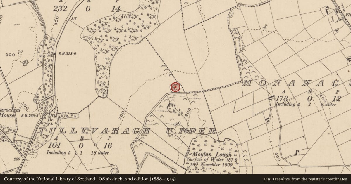Ordnance Survey six-inch map, 2nd edition (1888–1915) covering the location of Ringfort - rath, Tullyvaragh Upper, County Monaghan, with a pin at the register's coordinates