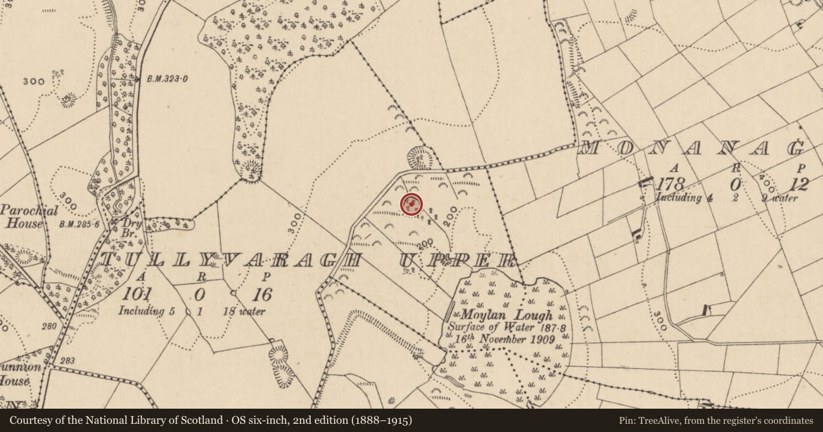 Ordnance Survey six-inch map, 2nd edition (1888–1915) covering the location of Ringfort - rath, Tullyvaragh Upper, County Monaghan, with a pin at the register's coordinates