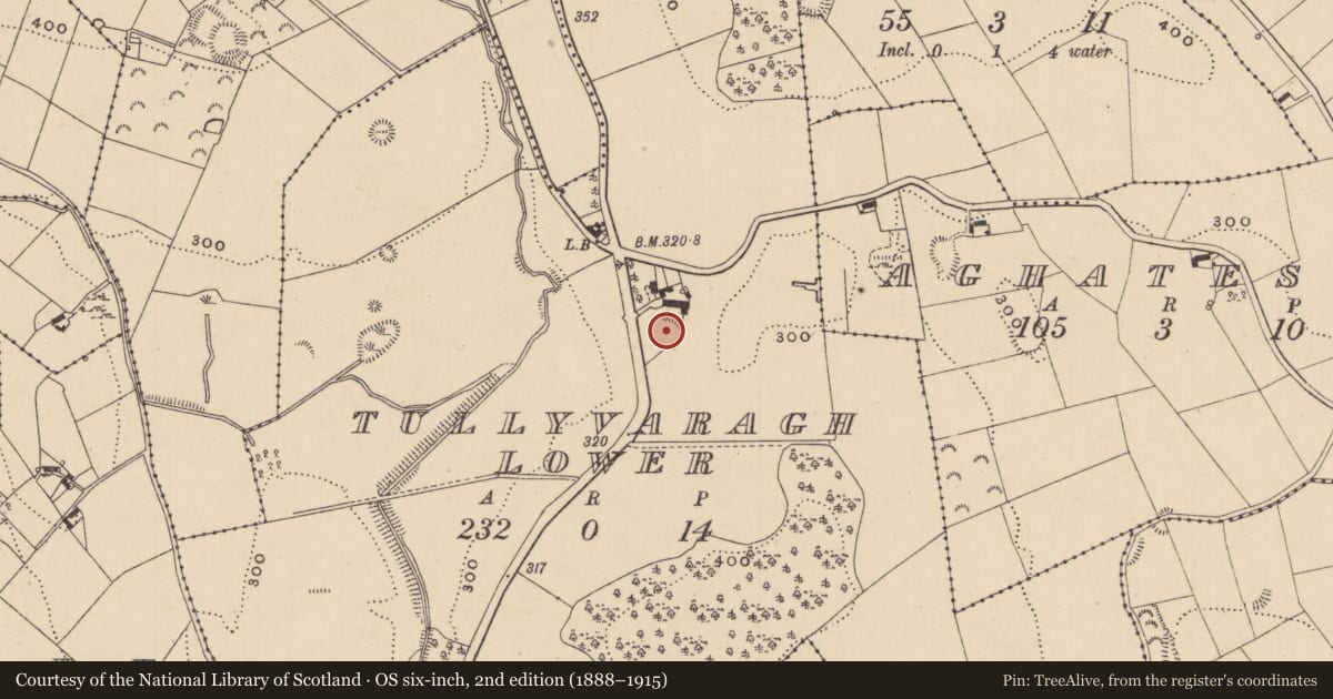 Ordnance Survey six-inch map, 2nd edition (1888–1915) covering the location of Ringfort - rath, Tullyvaragh Lower, County Monaghan, with a pin at the register's coordinates