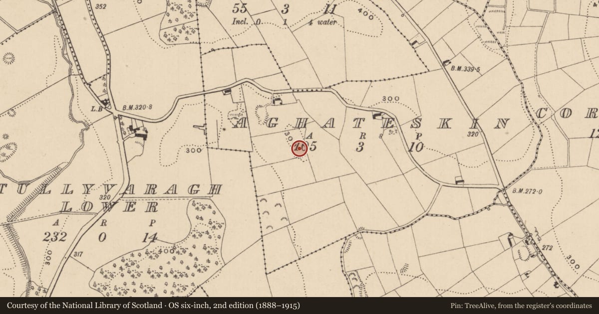 Ordnance Survey six-inch map, 2nd edition (1888–1915) covering the location of Ringfort - rath, Aghateskin, County Monaghan, with a pin at the register's coordinates