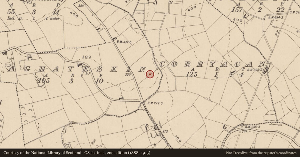 Ordnance Survey six-inch map, 2nd edition (1888–1915) covering the location of Ringfort - rath, Aghateskin, County Monaghan, with a pin at the register's coordinates