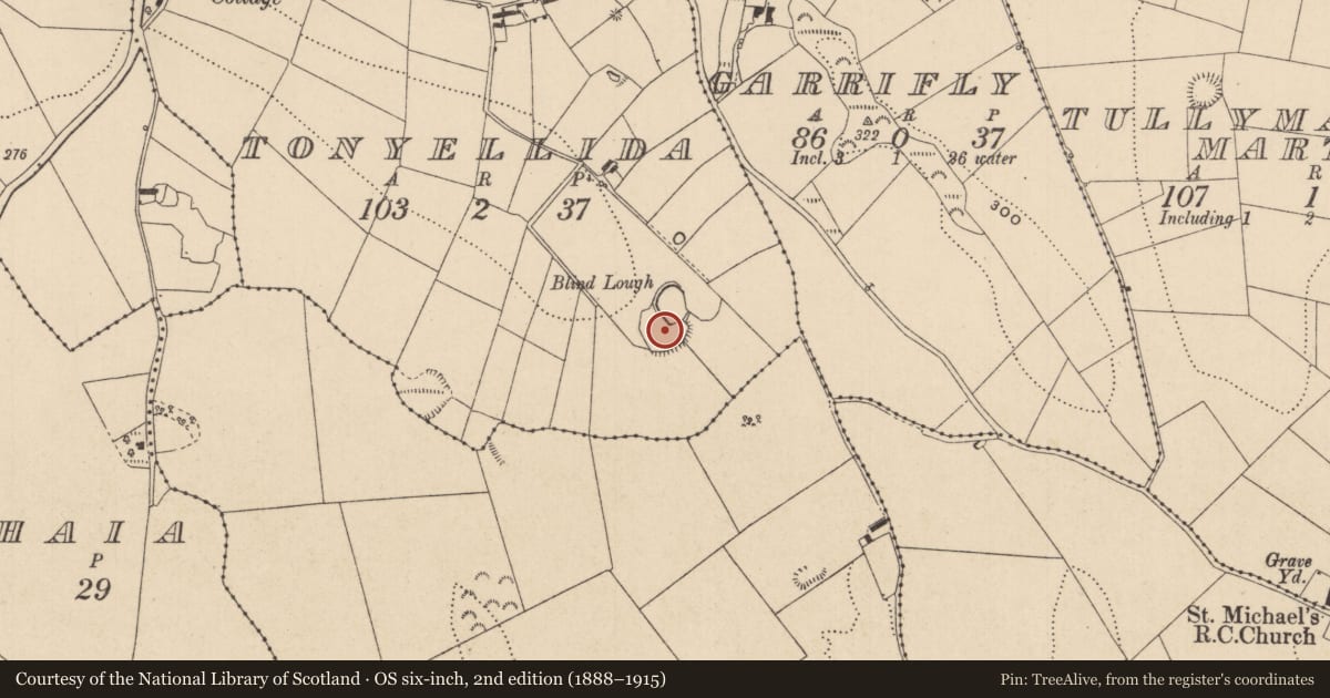 Ordnance Survey six-inch map, 2nd edition (1888–1915) covering the location of Ringfort - rath, Tonyellida, County Monaghan, with a pin at the register's coordinates