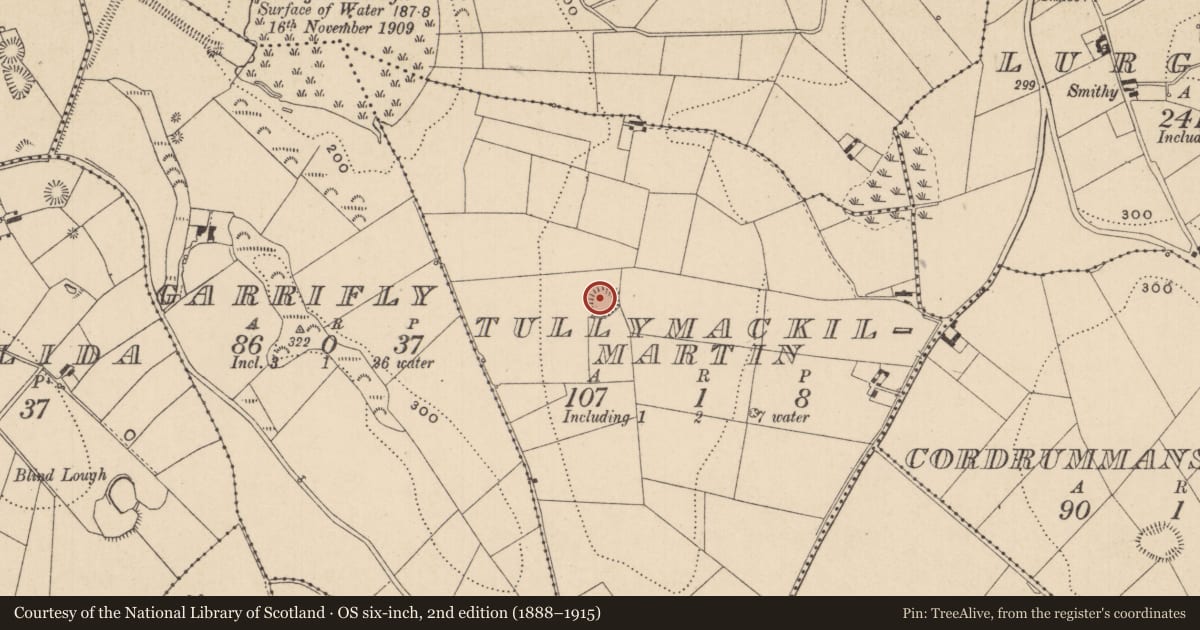Ordnance Survey six-inch map, 2nd edition (1888–1915) covering the location of Ringfort - rath, Tullymackilmartin, County Monaghan, with a pin at the register's coordinates