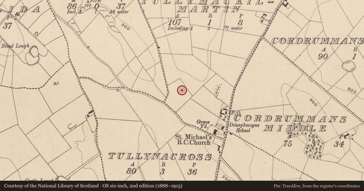 Ordnance Survey six-inch map, 2nd edition (1888–1915) covering the location of Ringfort - rath, Tullymackilmartin, County Monaghan, with a pin at the register's coordinates