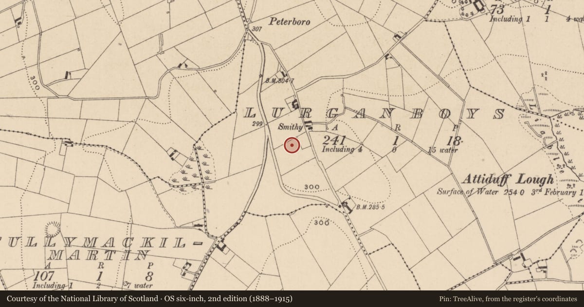 Ordnance Survey six-inch map, 2nd edition (1888–1915) covering the location of Ringfort - rath, Lurganboys, County Monaghan, with a pin at the register's coordinates